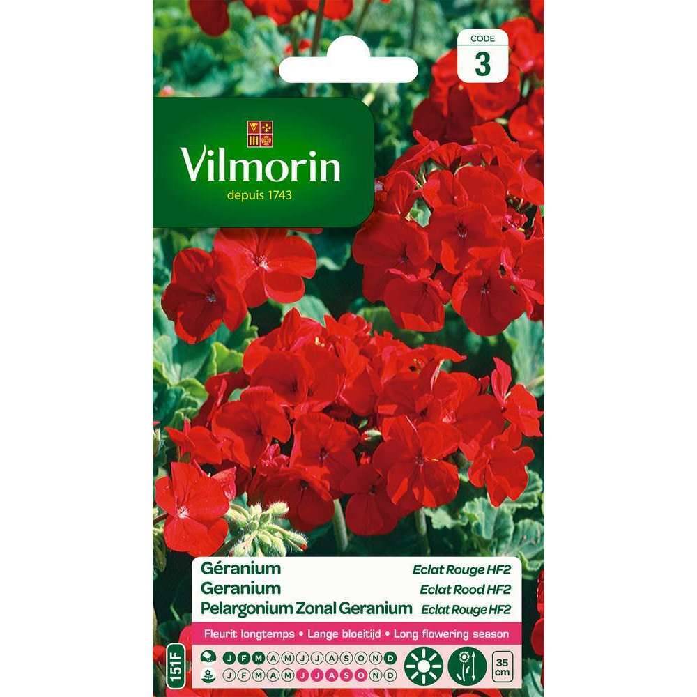 Vilmorin - Géranium Eclat Rouge HF2 serie 3 sachet graines 0,4 g - Vilmorin