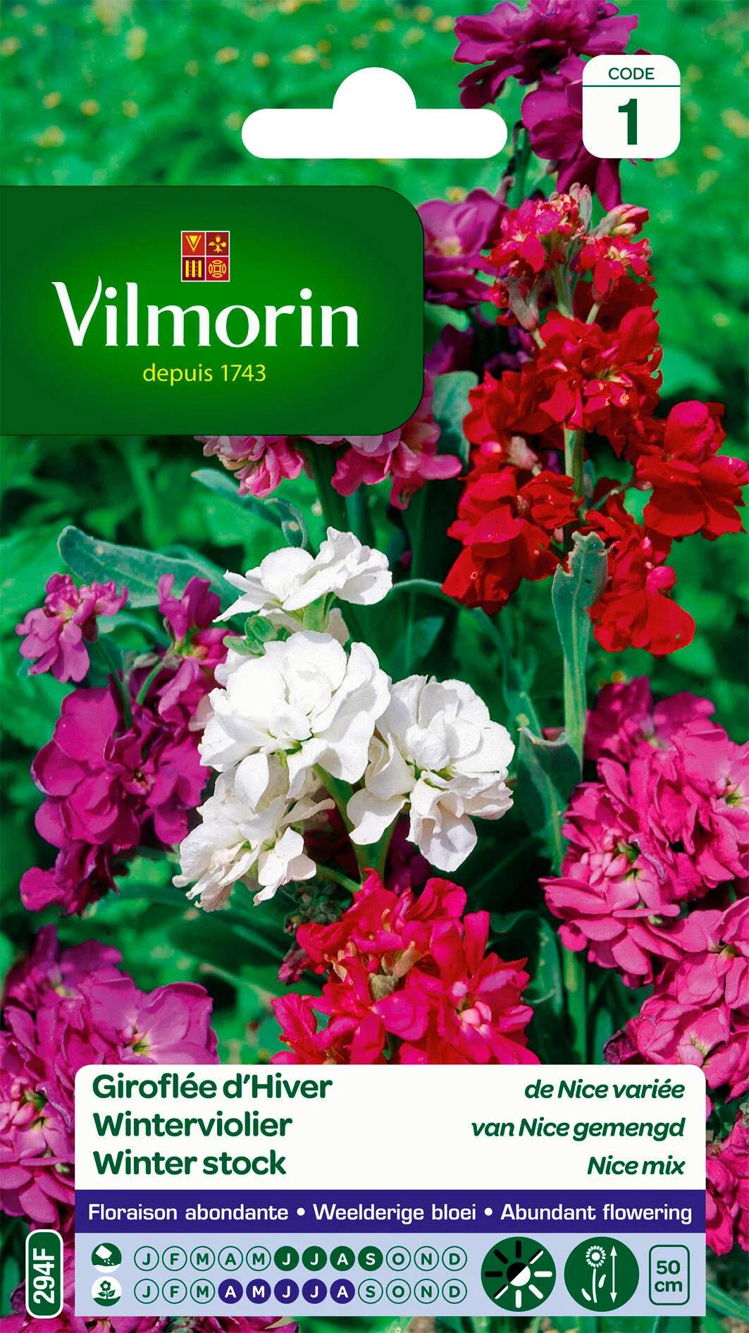 Vilmorin - Giroflée d hiver de Nice variée série 1 sachet graines 0,5 g - Vilmorin - Image 2