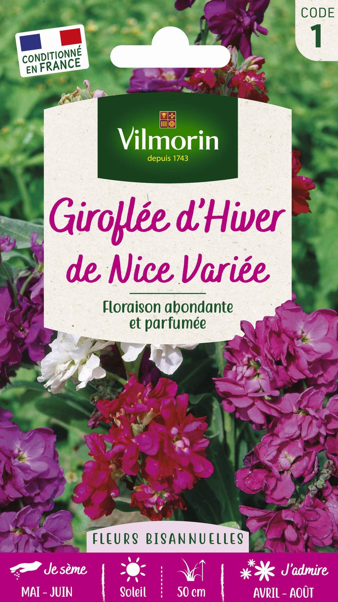 Vilmorin - Giroflée d hiver de Nice variée série 1 sachet graines 0,5 g - Vilmorin