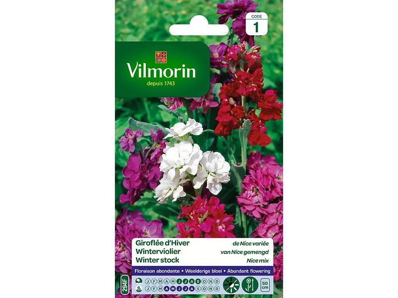 Vilmorin - Giroflée d hiver de Nice variée série 1 sachet graines 0,5 g - Vilmorin - Image 4