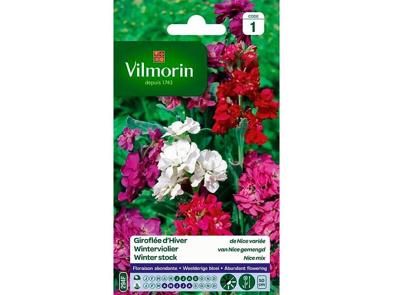 Vilmorin - Giroflée d hiver de Nice variée série 1 sachet graines 0,5 g - Vilmorin - Image 6