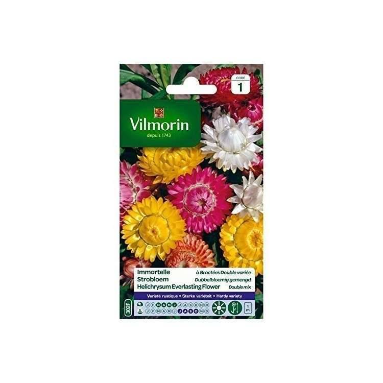 Vilmorin - Immortelle a bractées double variée série 1 sachet graines 1 g - Vilmorin - Image 1