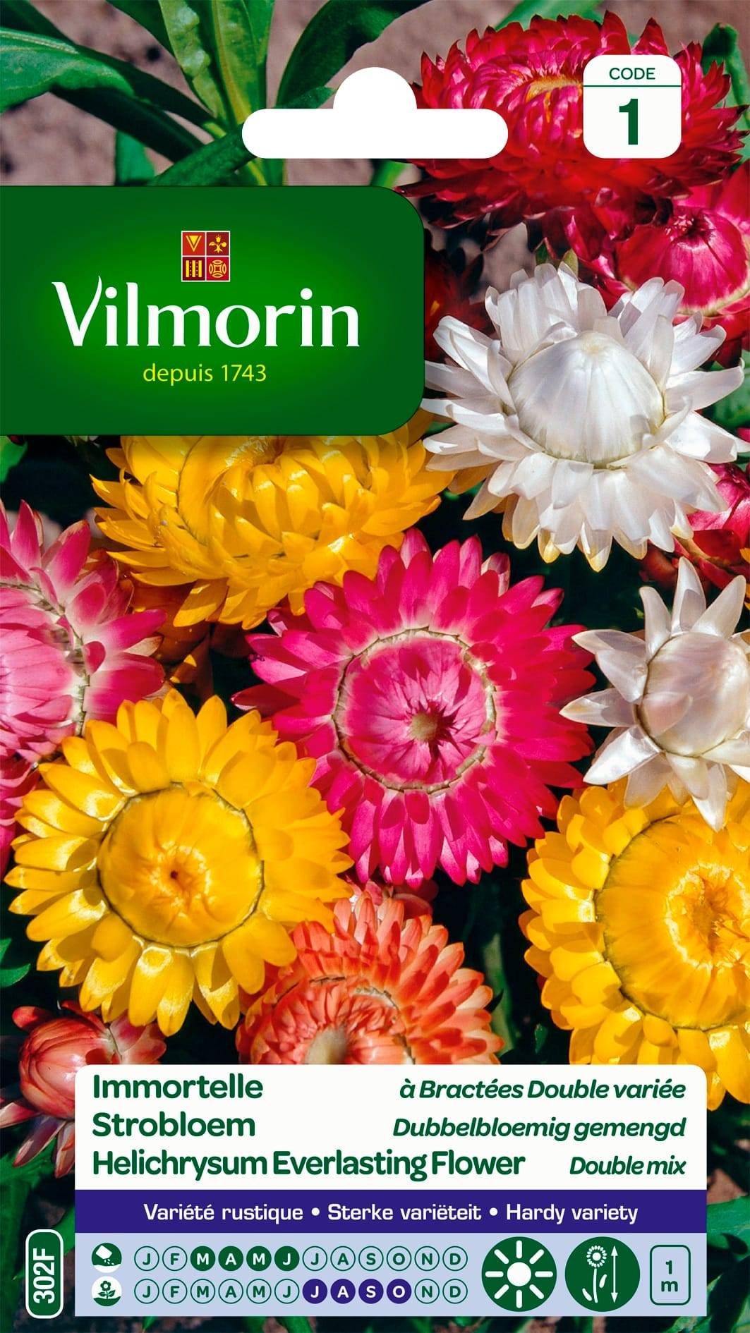 Vilmorin - Immortelle a bractées double variée série 1 sachet graines 1 g - Vilmorin - Image 2