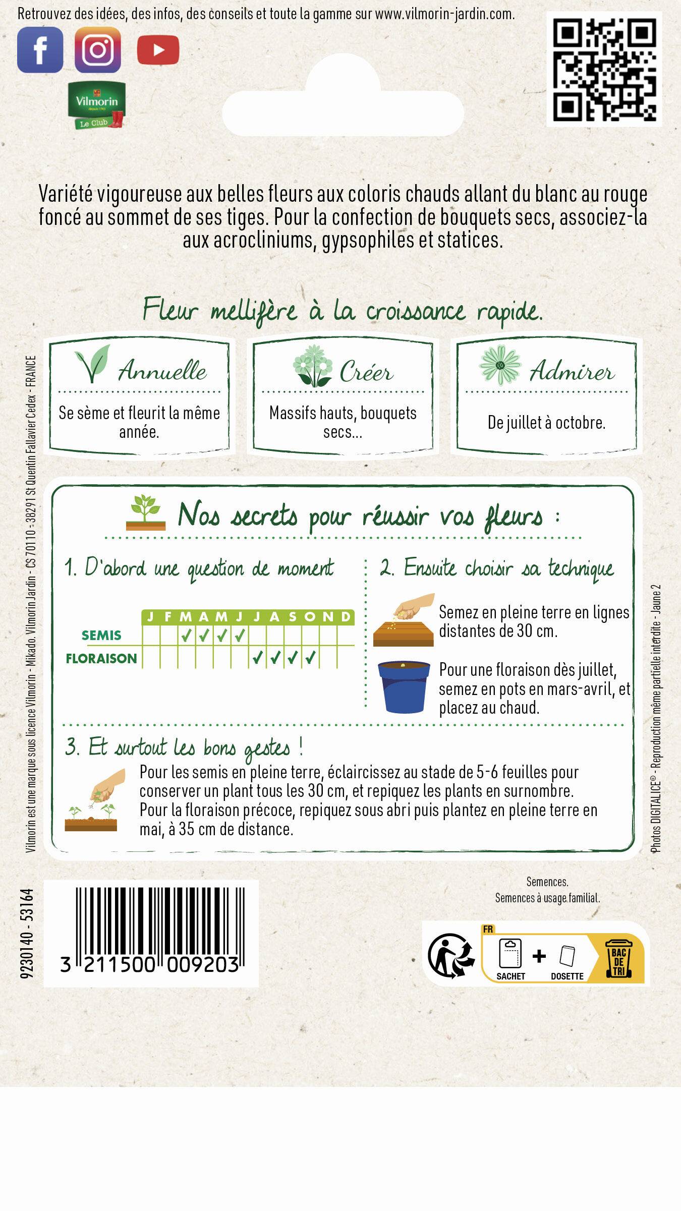 Vilmorin - Immortelle a bractées double variée série 1 sachet graines 1 g - Vilmorin - Image 3