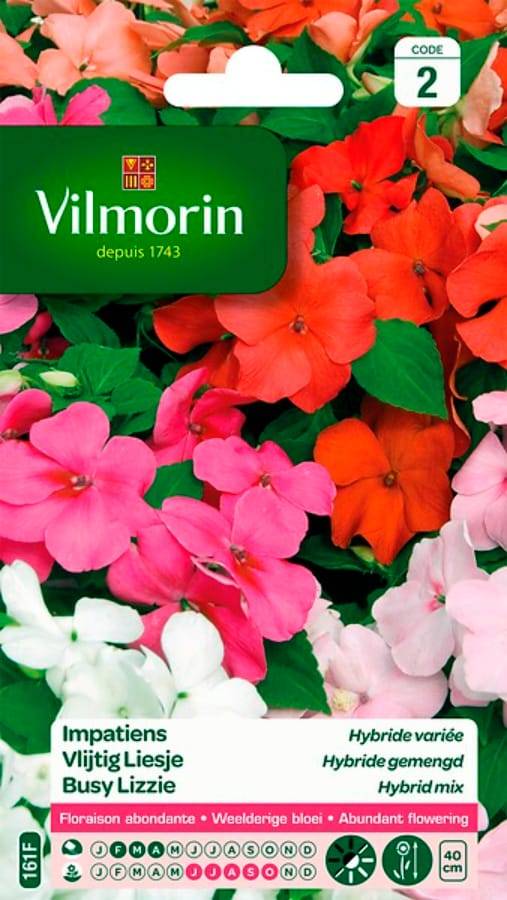 Vilmorin - Impatiens hybride variée série 2 sachet graines 0,2 g - Vilmorin - Image 2