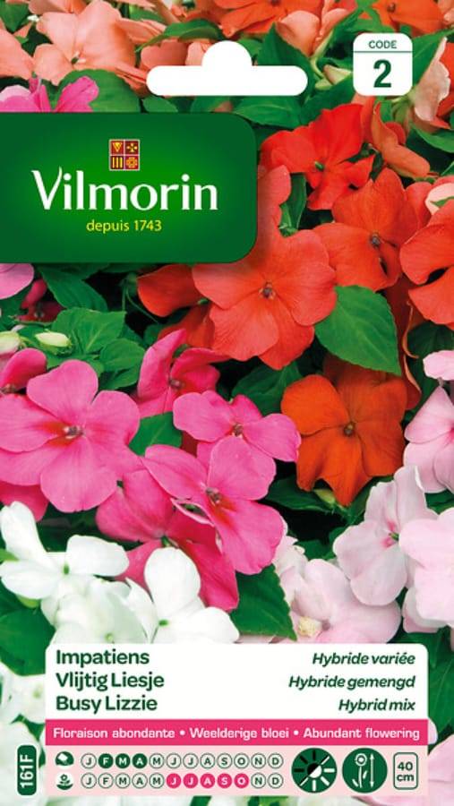 Vilmorin - Impatiens hybride variée série 2 sachet graines 0,2 g - Vilmorin - Image 3