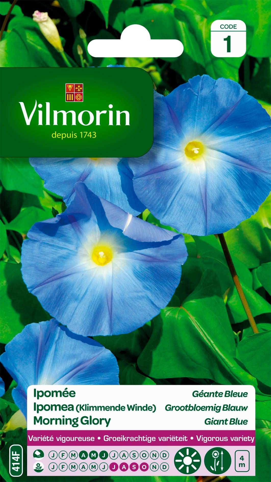Vilmorin - Ipomée a grande fleur bleue série 1 sachet graines 4 g - Vilmorin - Image 2