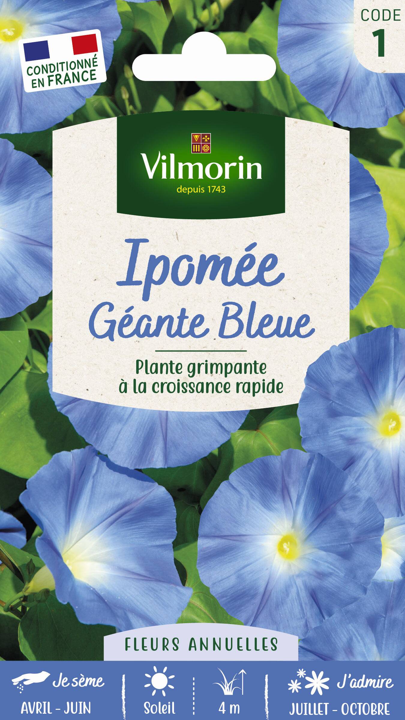 Vilmorin - Ipomée a grande fleur bleue série 1 sachet graines 4 g - Vilmorin - Image 1
