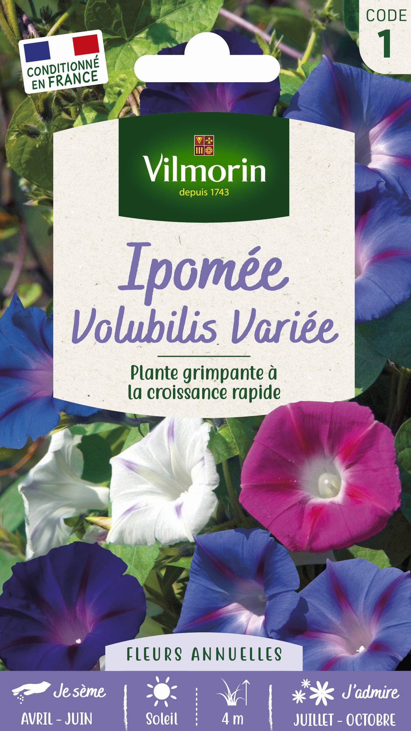 Vilmorin - Ipomée volubilis variée série 1 sachet graines 4 g - Vilmorin - Image 1