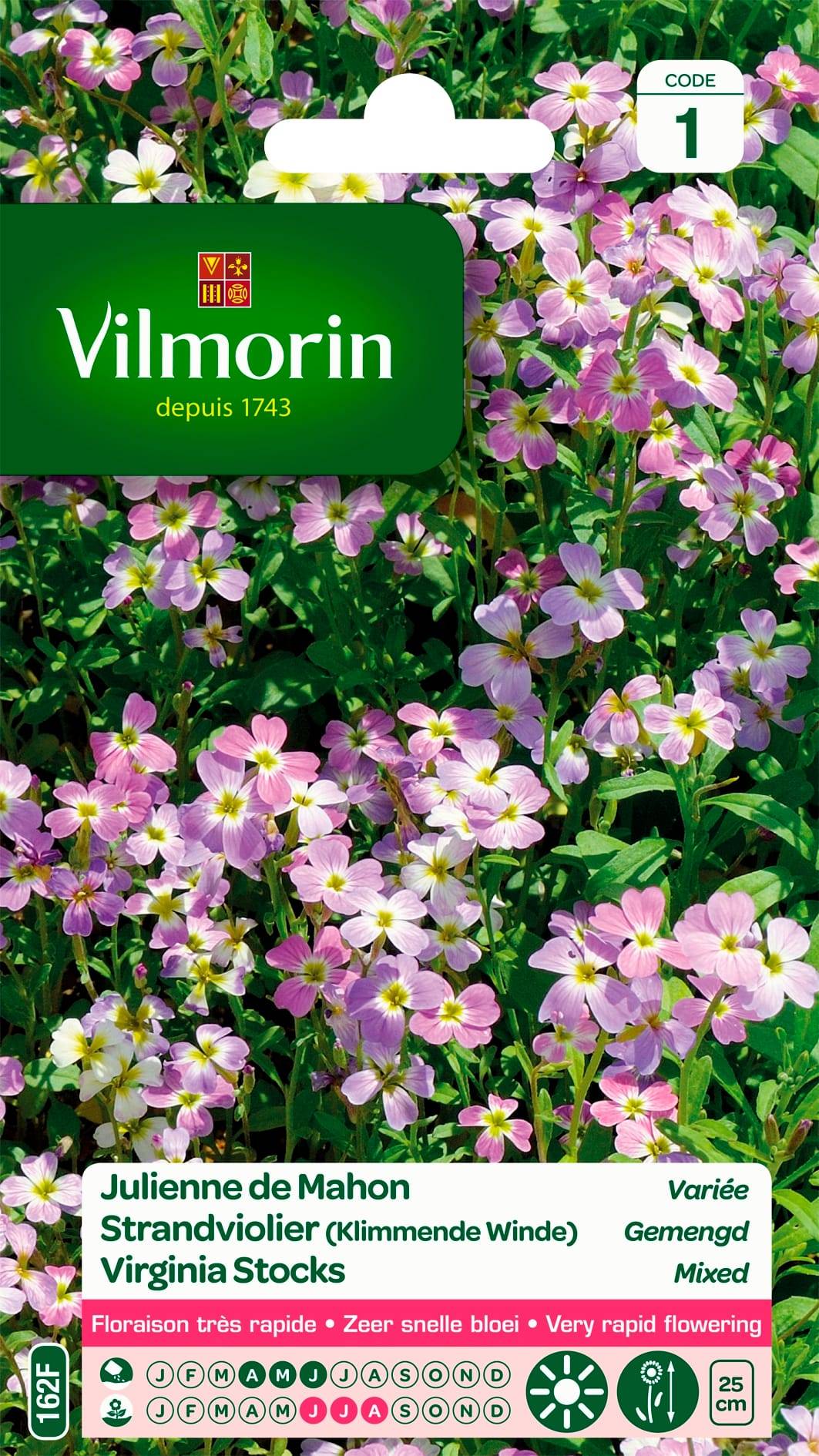 Vilmorin - Julienne de mahon variée série 1 sachet graines 3 g - Vilmorin - Image 2