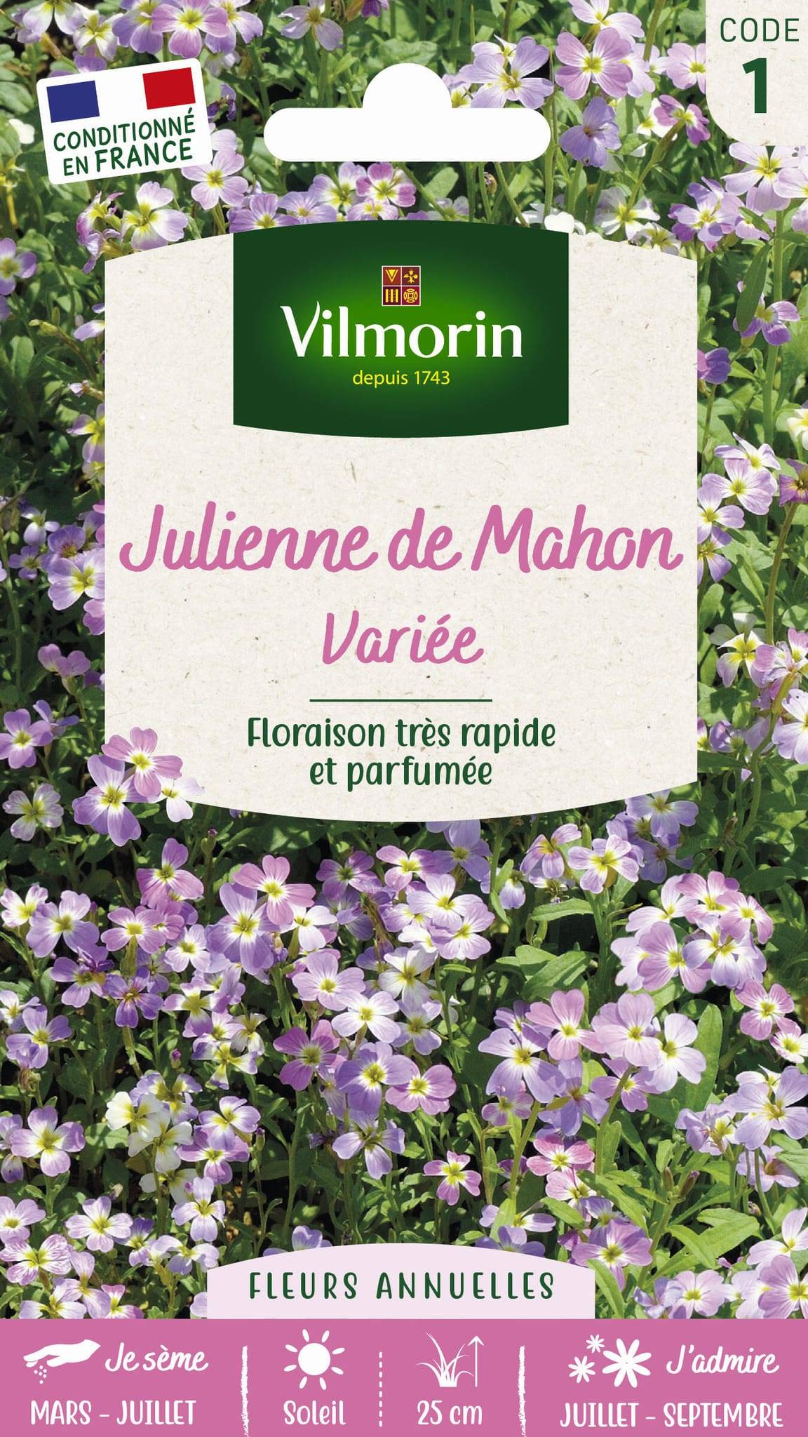 Vilmorin - Julienne de mahon variée série 1 sachet graines 3 g - Vilmorin - Image 1