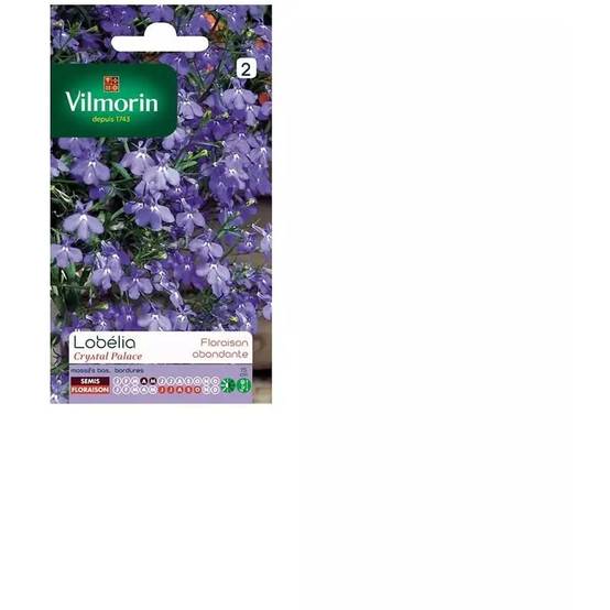 Vilmorin - Lobelia Crystal palace bleu série 2 sachet graines 0,3 g - Vilmorin - Image 4