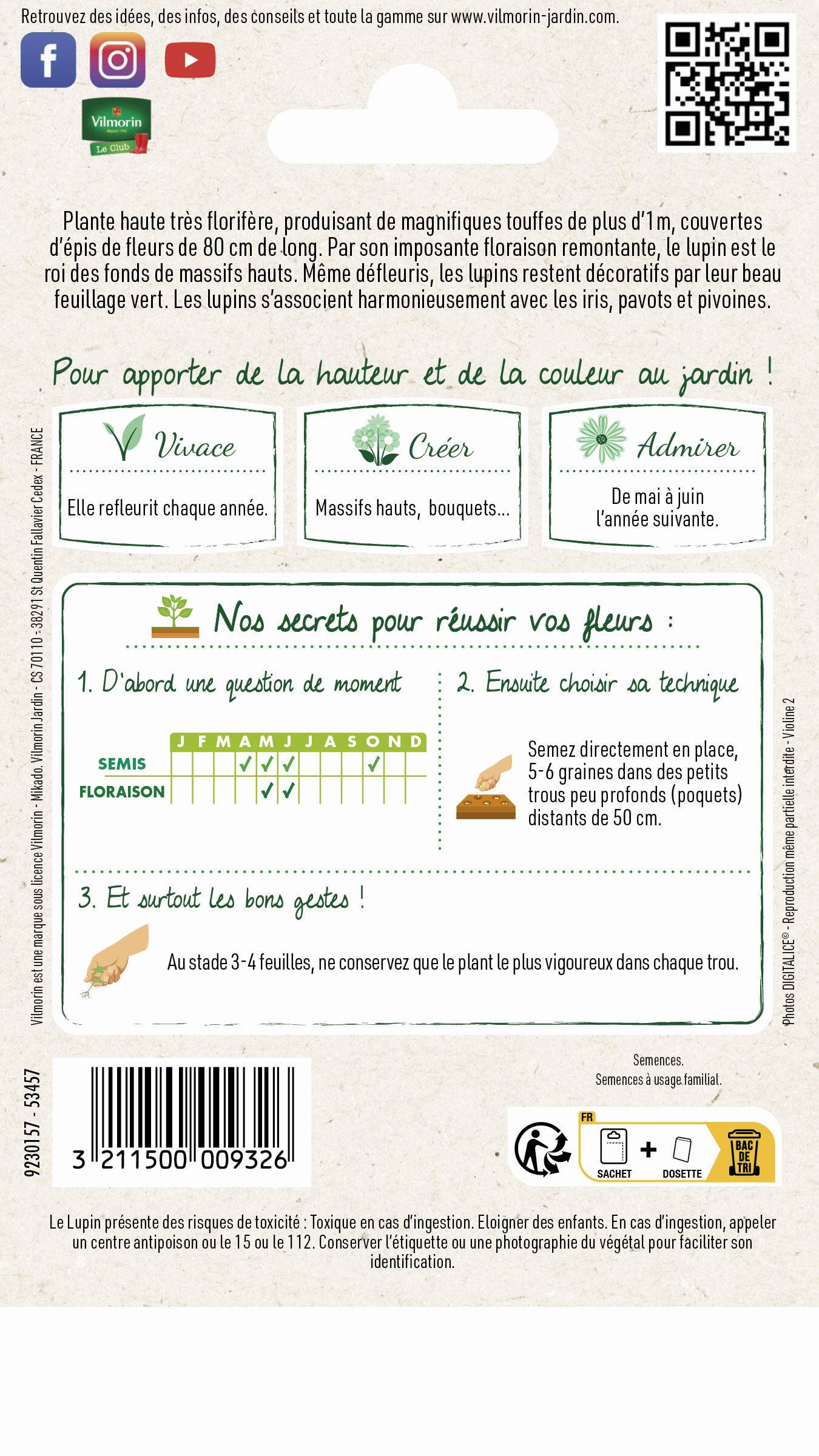Vilmorin - Lupin de Russel varie série 1 sachet graines 2,5 g - Vilmorin - Image 7