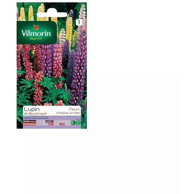 Vilmorin - Lupin de Russel varie série 1 sachet graines 2,5 g - Vilmorin - Image 1