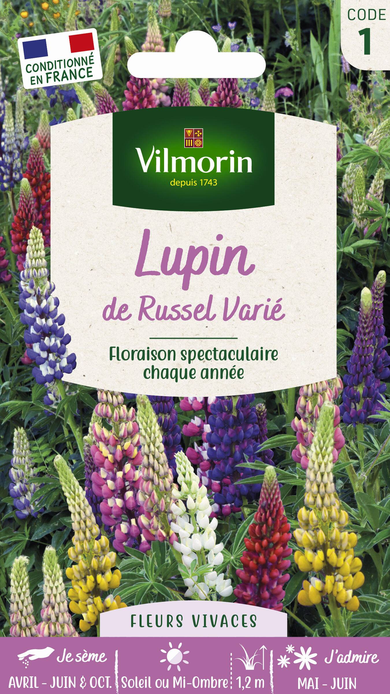 Vilmorin - Lupin de Russel varie série 1 sachet graines 2,5 g - Vilmorin - Image 6
