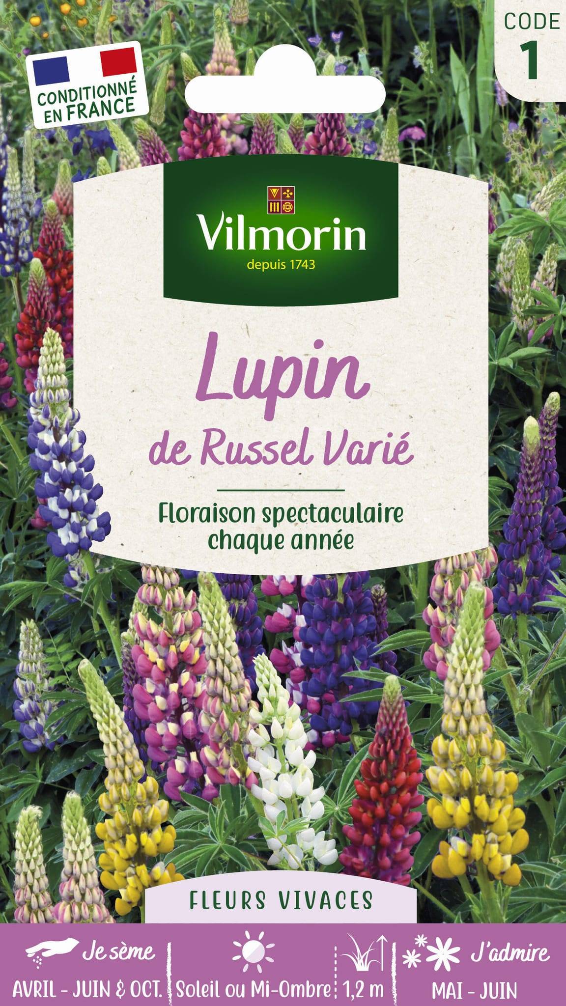 Vilmorin - Lupin de Russel varie série 1 sachet graines 2,5 g - Vilmorin