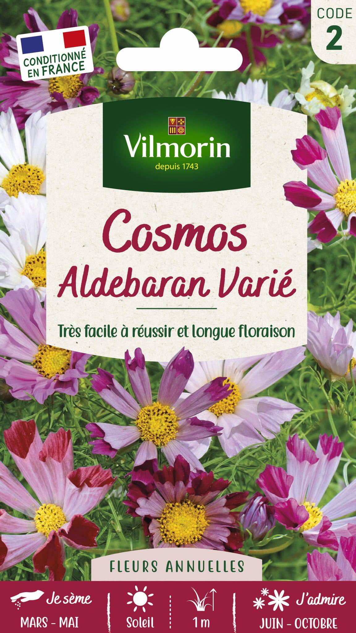 Vilmorin - Cosmos Aldébaran pétales tubules série 2 sachet graines 1,5 g - Vilmorin - Image 1
