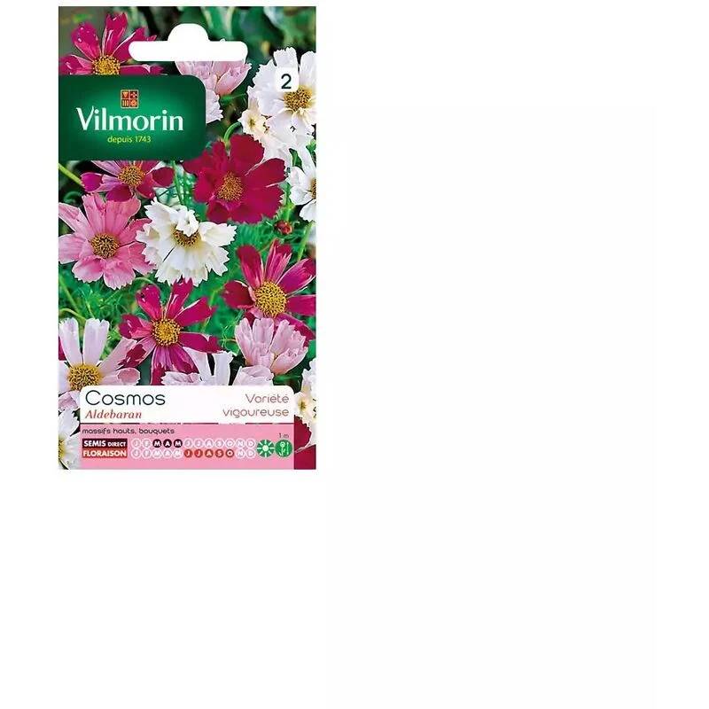 Vilmorin - Cosmos Aldébaran pétales tubules série 2 sachet graines 1,5 g - Vilmorin - Image 4