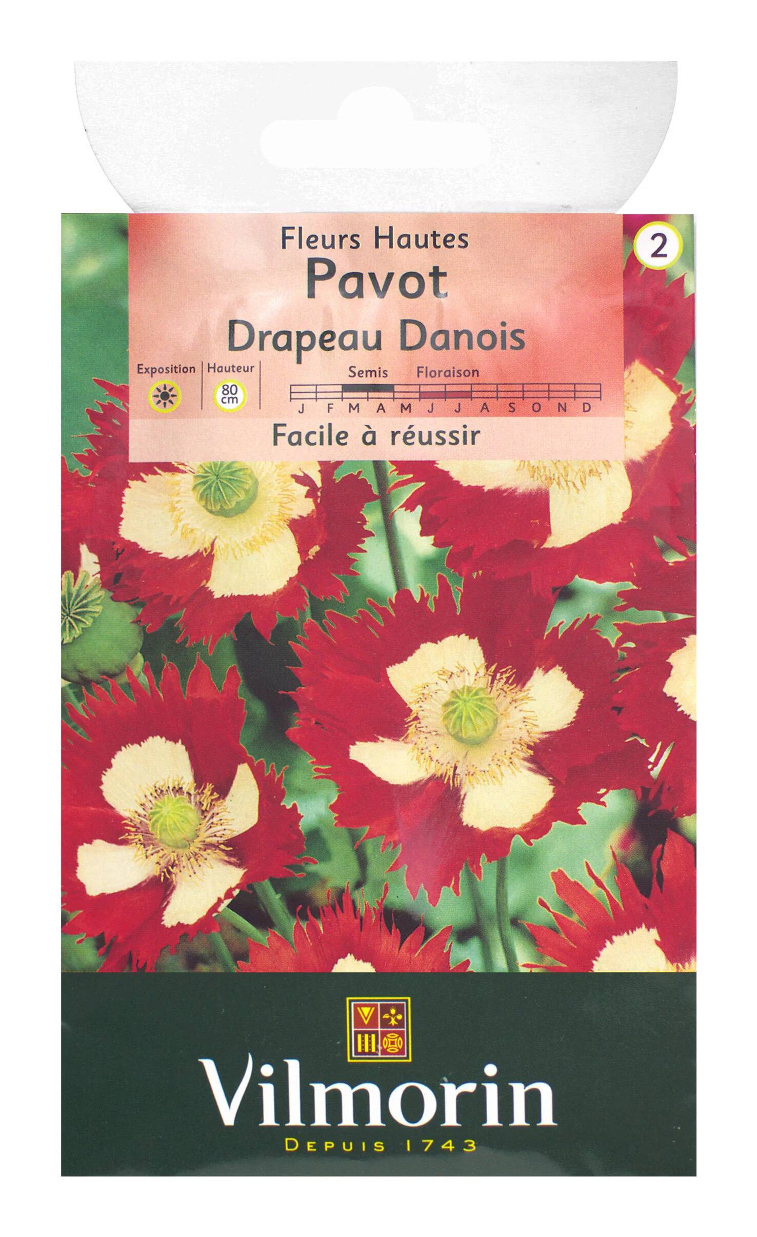 Vilmorin - Pavot Drapeau Danois serie 2 sachet graines 1 g - Vilmorin - Image 2
