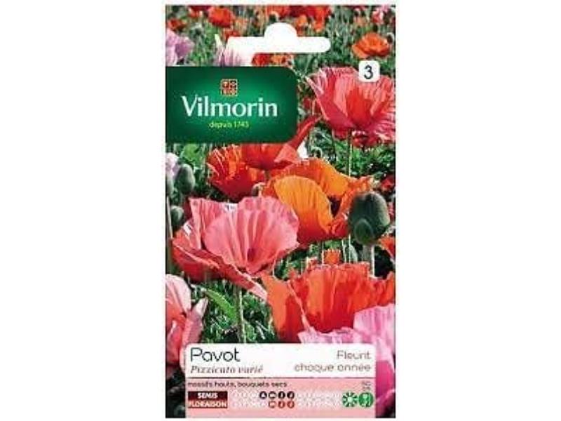 Vilmorin - Pavot Drapeau Danois serie 2 sachet graines 1 g - Vilmorin - Image 5