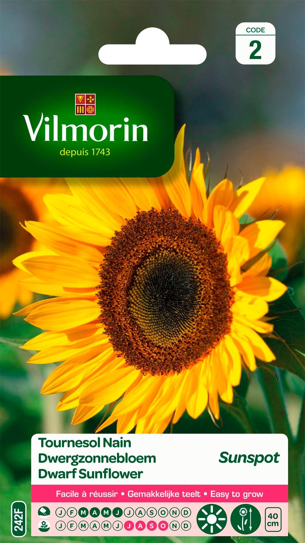 Vilmorin - Tournesol Nain Sunspot - VILMORIN