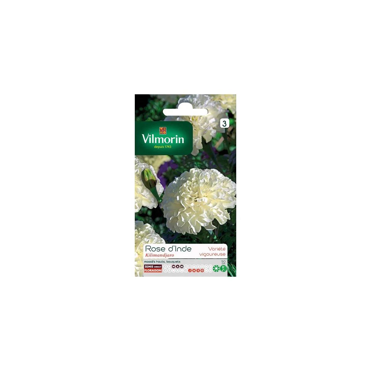 Vilmorin - Rose d'Inde Kilimandjaro blanche série 3 sachet graines 0,2 g - Vilmorin - Image 2