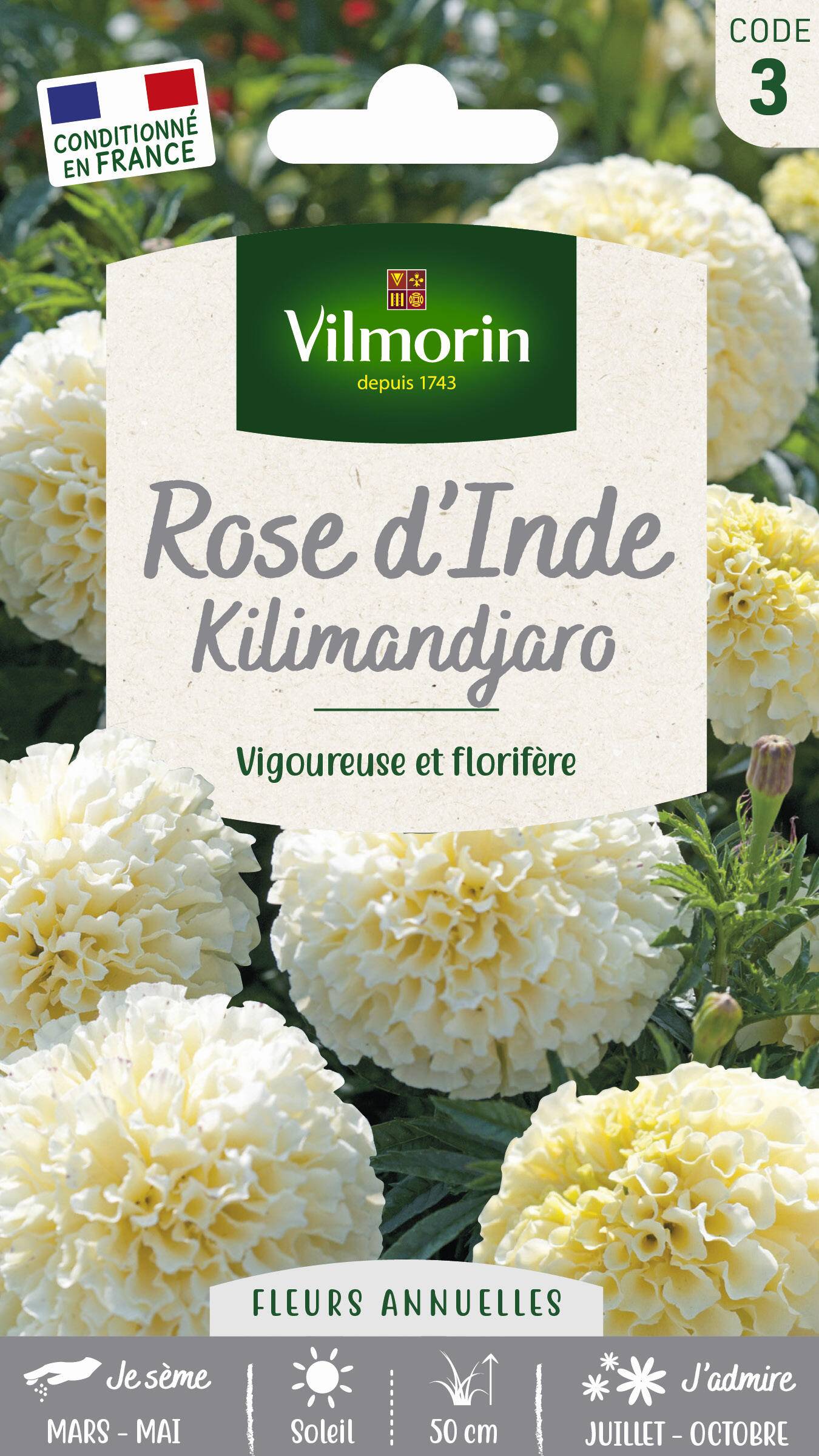 Vilmorin - Rose d'Inde Kilimandjaro blanche série 3 sachet graines 0,2 g - Vilmorin - Image 1