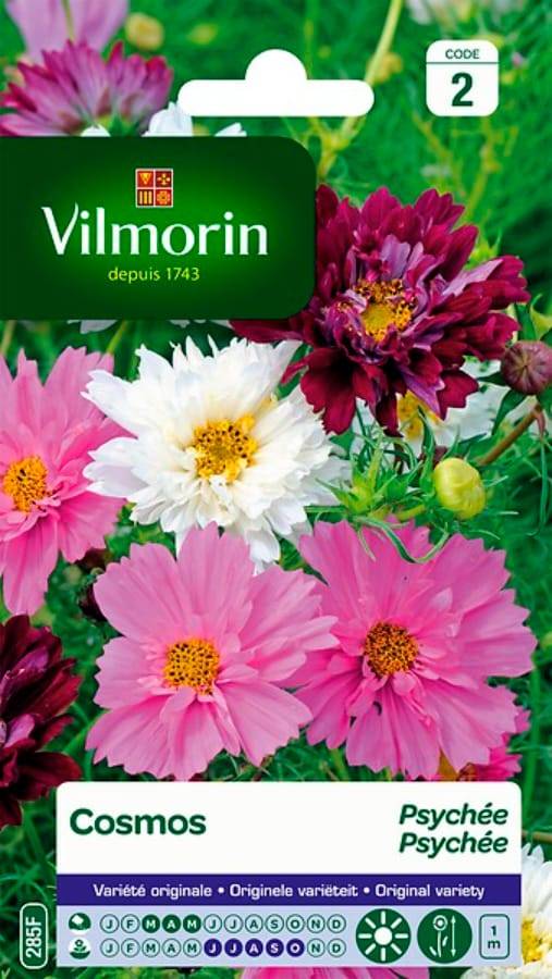 Vilmorin - Cosmos psychee varie série 2 sachet graines 1,5 g - Vilmorin - Image 2