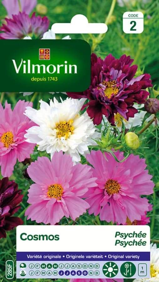Vilmorin - Cosmos psychee varie série 2 sachet graines 1,5 g - Vilmorin - Image 3