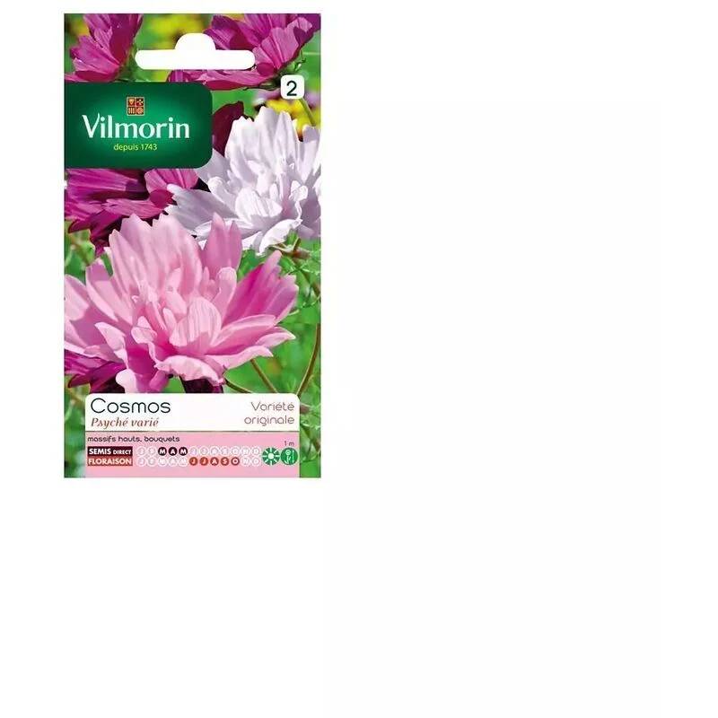 Vilmorin - Cosmos psychee varie série 2 sachet graines 1,5 g - Vilmorin - Image 4