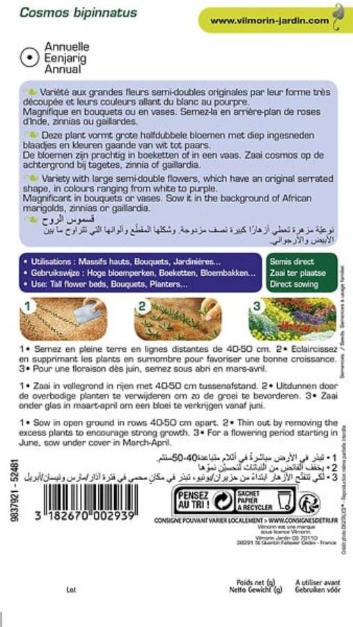 Vilmorin - Cosmos psychee varie série 2 sachet graines 1,5 g - Vilmorin - Image 5