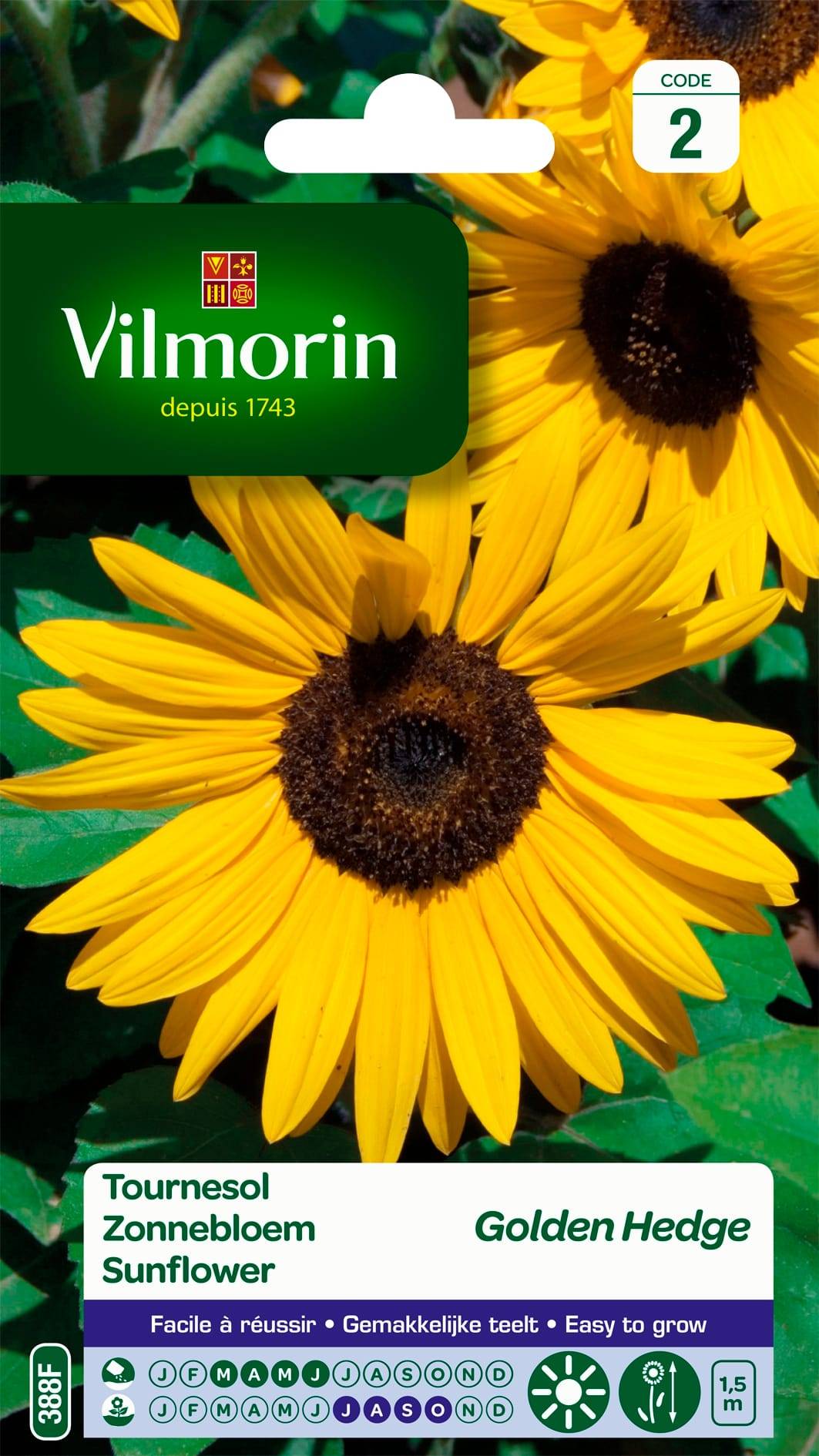 Vilmorin - Graines de Tournesol Golden Hedge - VILMORIN - Image 1