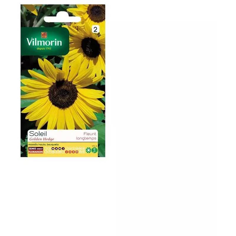 Vilmorin - Graines de Tournesol Golden Hedge - VILMORIN - Image 2