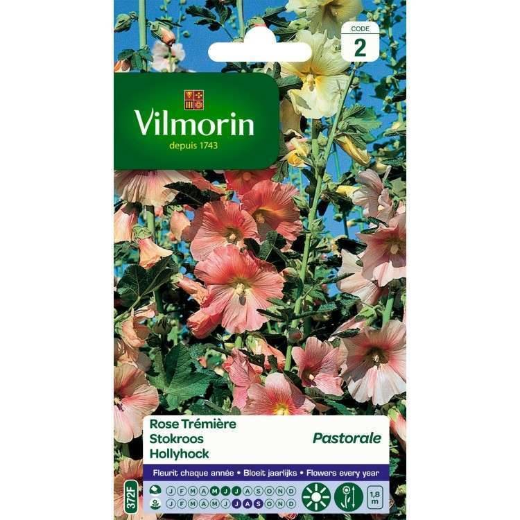 Vilmorin - Rose trémière pastorale pastel série 2 sachet graines 1 g - Vilmorin - Image 2