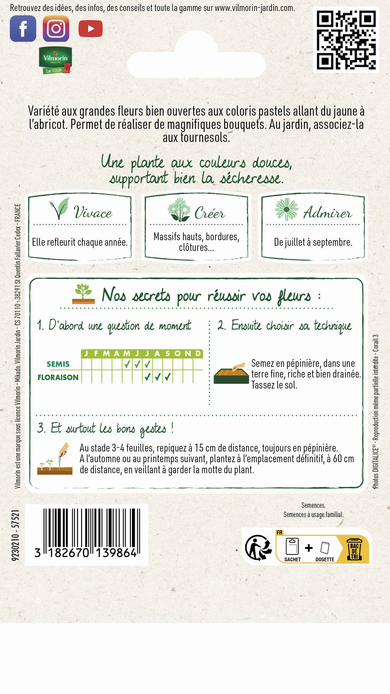 Vilmorin - Rose trémière pastorale pastel série 2 sachet graines 1 g - Vilmorin - Image 3
