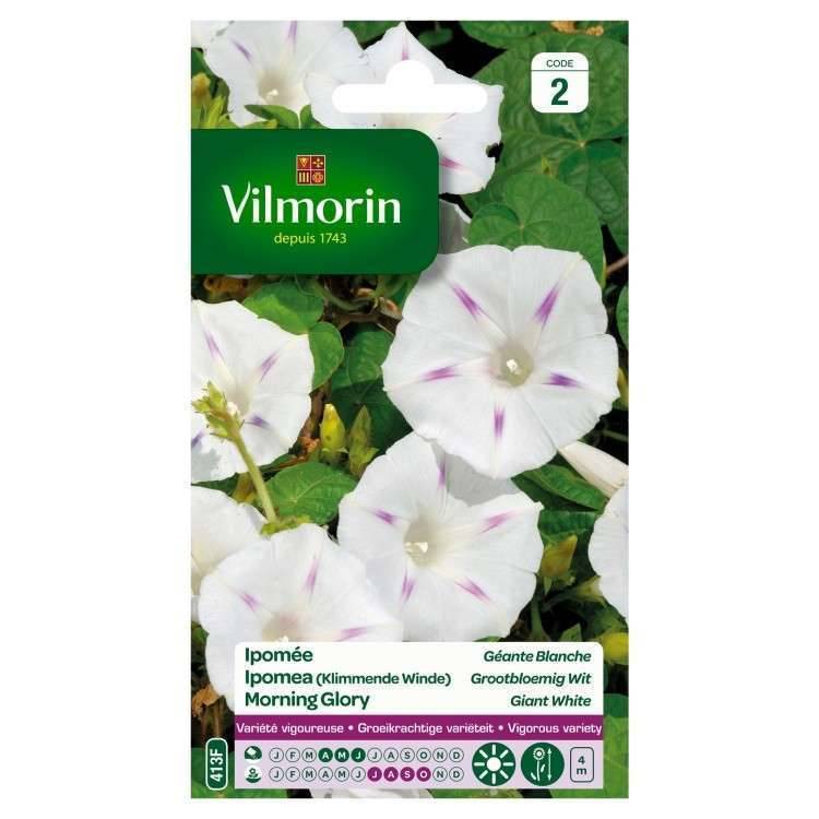Vilmorin - Ipomée blanche étoilée a grande fleur blanche série 2 sachet graines 6 g - Vilmorin - Image 2