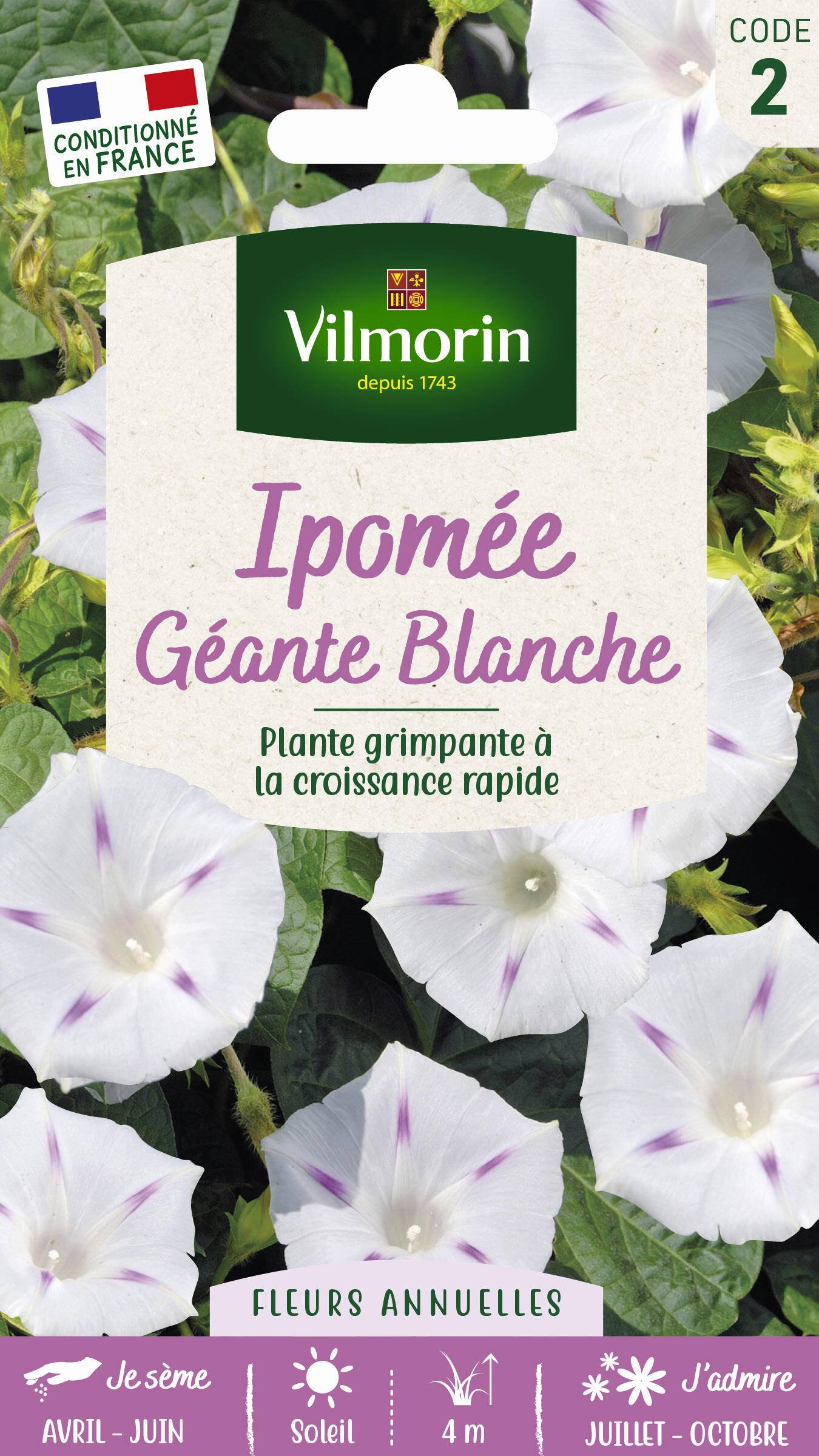 Vilmorin - Ipomée blanche étoilée a grande fleur blanche série 2 sachet graines 6 g - Vilmorin - Image 1