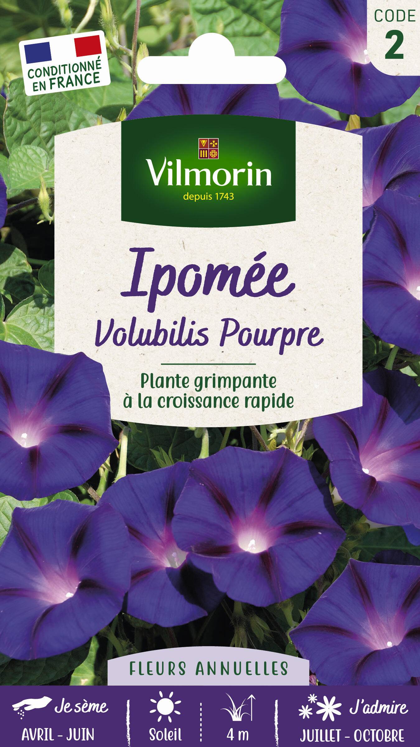 Vilmorin - Ipomée pourpre série 2 sachet graines 6 g - Vilmorin - Image 1