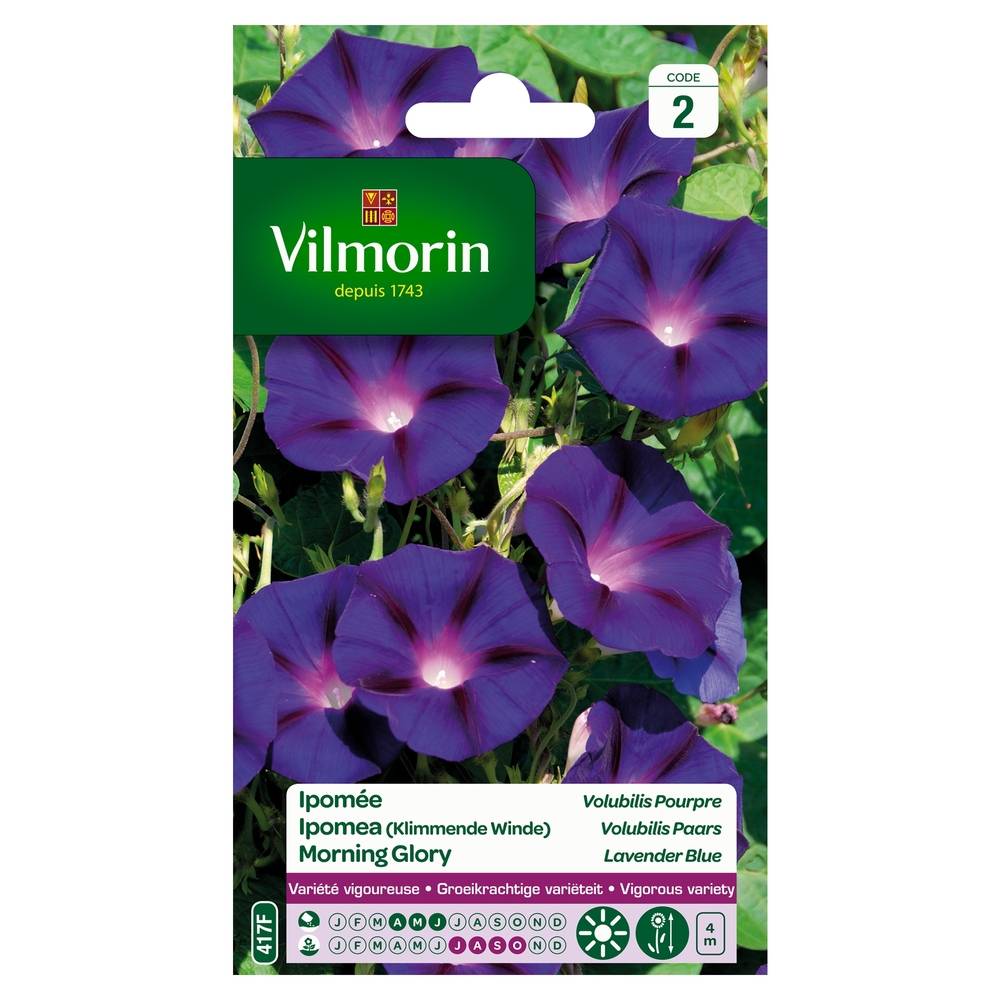 Vilmorin - Ipomée pourpre série 2 sachet graines 6 g - Vilmorin - Image 4