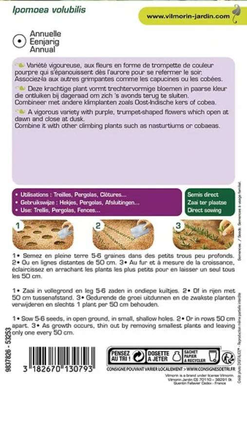 Vilmorin - Ipomée pourpre série 2 sachet graines 6 g - Vilmorin - Image 5