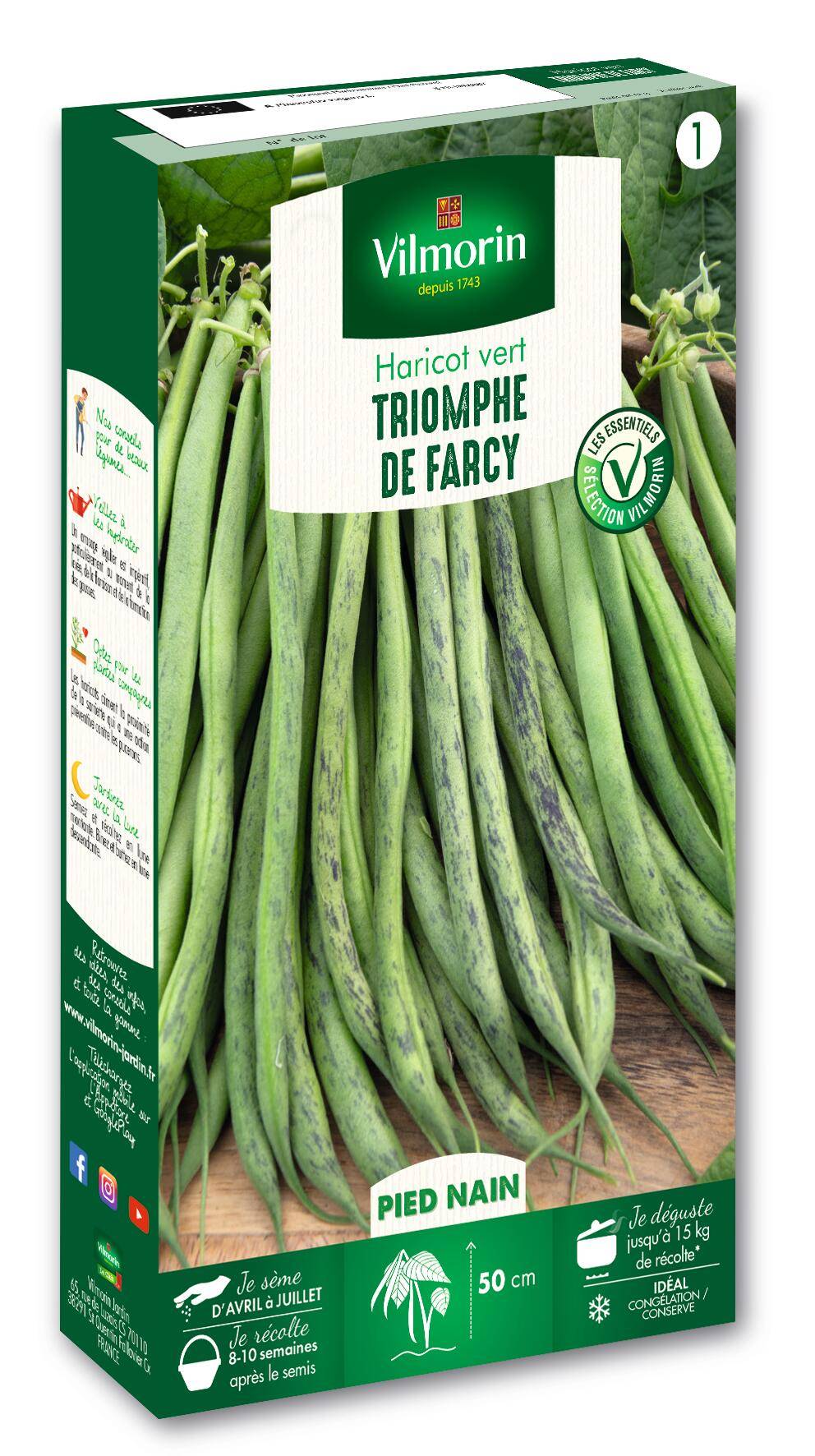 Vilmorin - Haricot triomphe de Farcy série 1 sachet graines 250 g - Vilmorin - Image 2