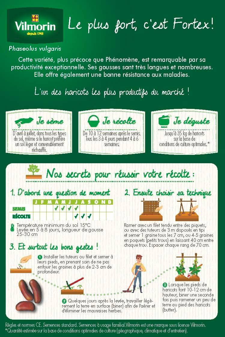 Vilmorin - Haricot Fortex mangetout obtention Inra série 20m sachet graines 102 g - Vilmorin - Image 2
