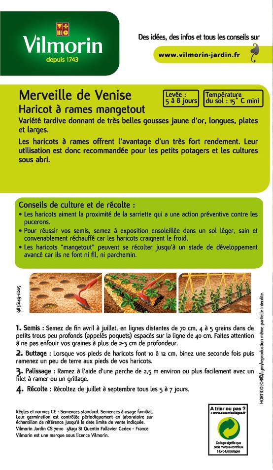 Vilmorin - Haricot Grimpant Beurre Merveille de Venise serie 2 boîte graines 200 g - Vilmorin - Image 2