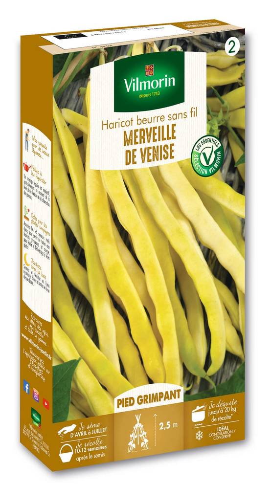 Vilmorin - Haricot Grimpant Beurre Merveille de Venise serie 2 boîte graines 200 g - Vilmorin - Image 3