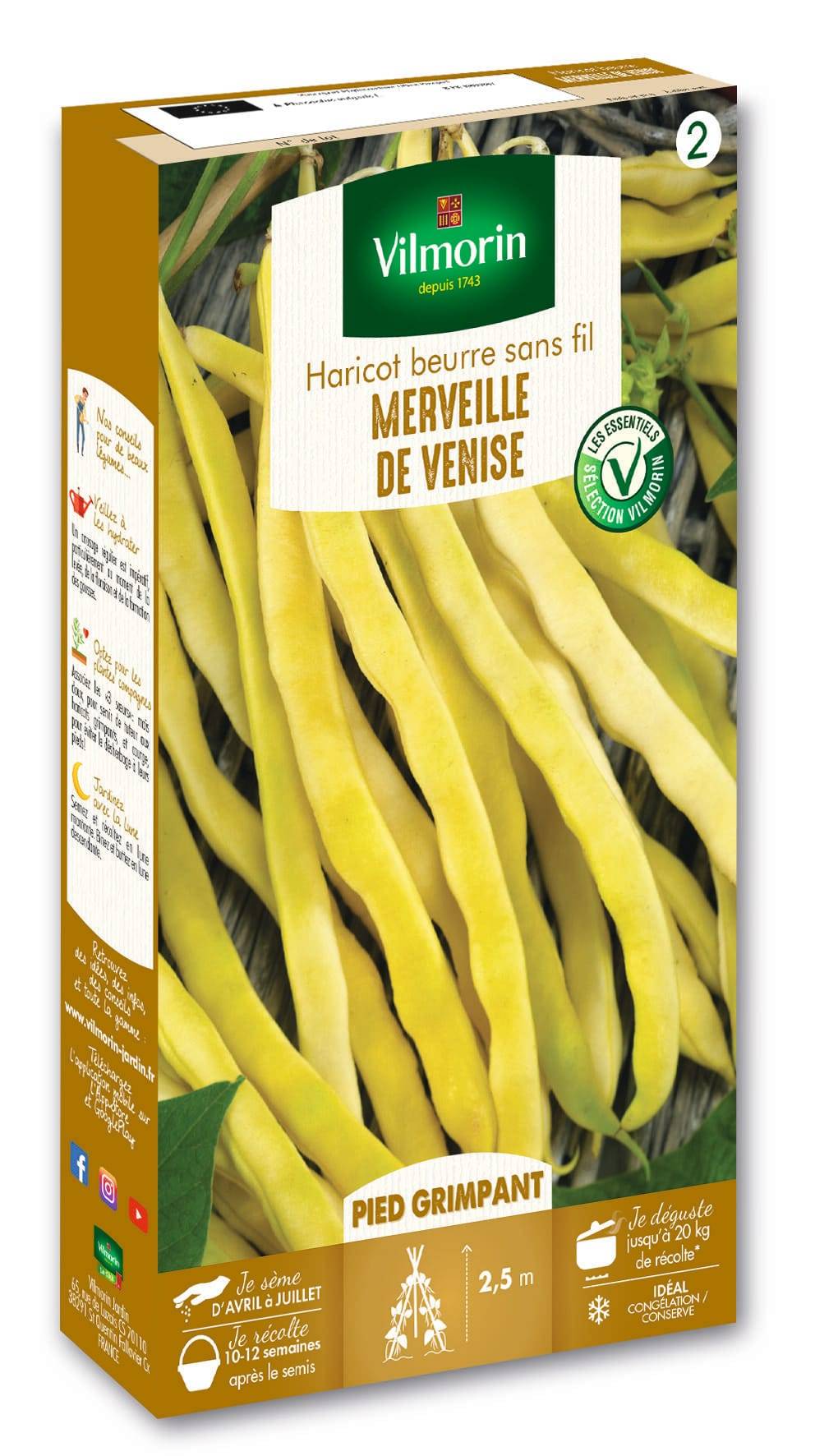 Vilmorin - Haricot Grimpant Beurre Merveille de Venise serie 2 boîte graines 200 g - Vilmorin - Image 3