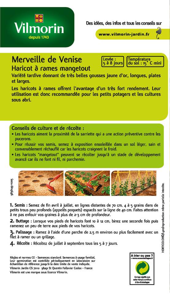 Vilmorin - Haricot Grimpant Beurre Merveille de Venise serie 2 boîte graines 200 g - Vilmorin - Image 4
