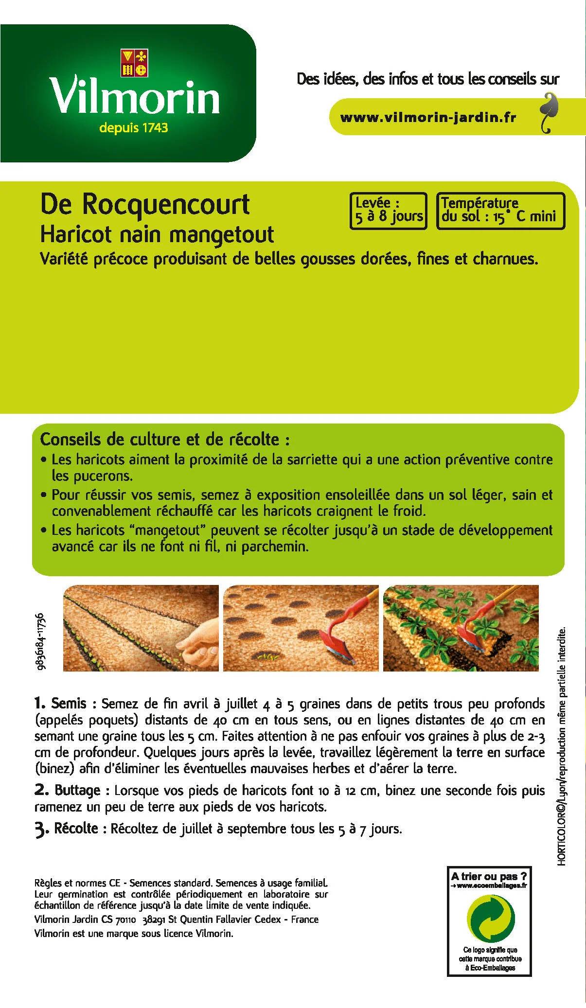Vilmorin - Haricot Nain Beurre de Rocquencourt serie 1 boîte graines 250 g - Vilmorin - Image 3