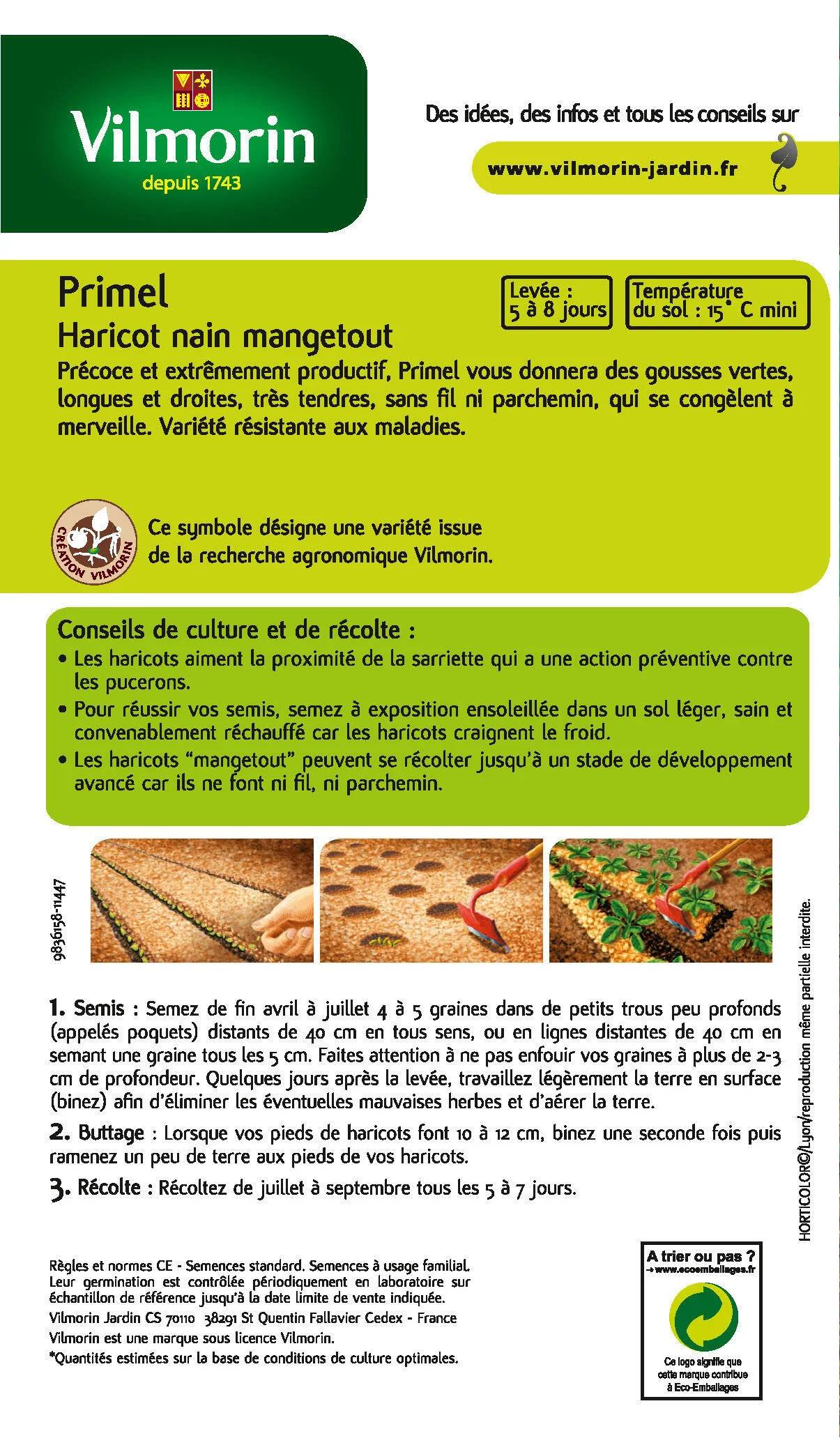 Vilmorin - Boîte de graines d'Haricot Nain Vert Primel - Série 2 - 200 g - VILMORIN - Image 3