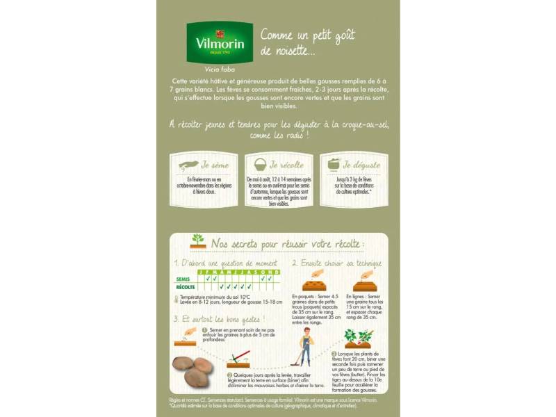 Vilmorin - Fève de Séville a longue cosse série20m sachet graines 242 g - Vilmorin - Image 3