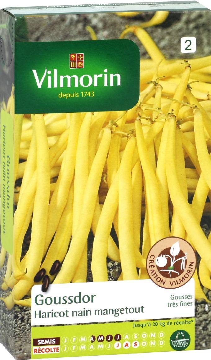 Vilmorin - Haricot Goussdor création série 2 sachet graines 200 g - Vilmorin